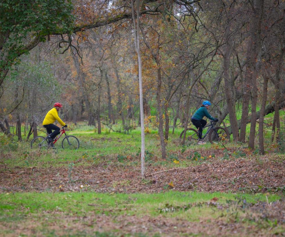 Two bicyclists cycling in a wooded area